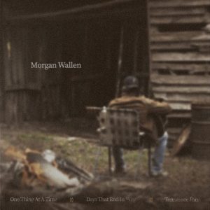 Days That End In Why Lyrics Morgan Wallen