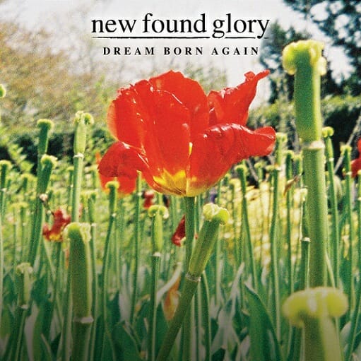 Dream Born Again Lyrics New Found Glory