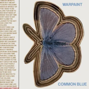 Common Blue Lyrics Warpaint