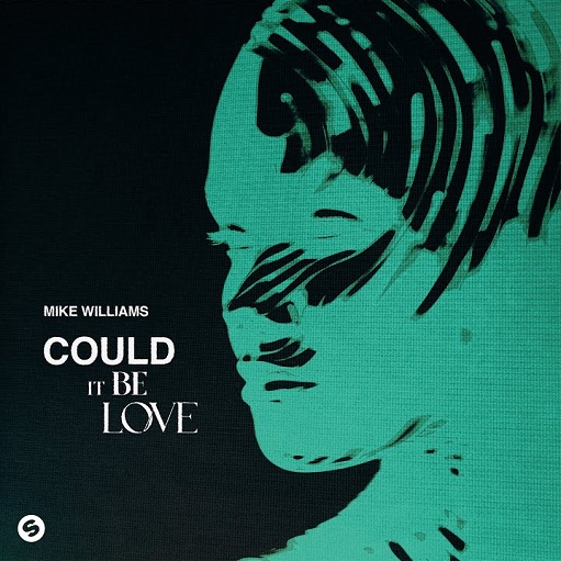 Could It Be Love Lyrics Mike Williams