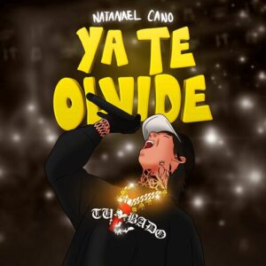 Ya Te Olvidé Letra Natanael Cano